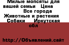 Милые мопсяты для вашей семьи › Цена ­ 20 000 - Все города Животные и растения » Собаки   . Иркутская обл.